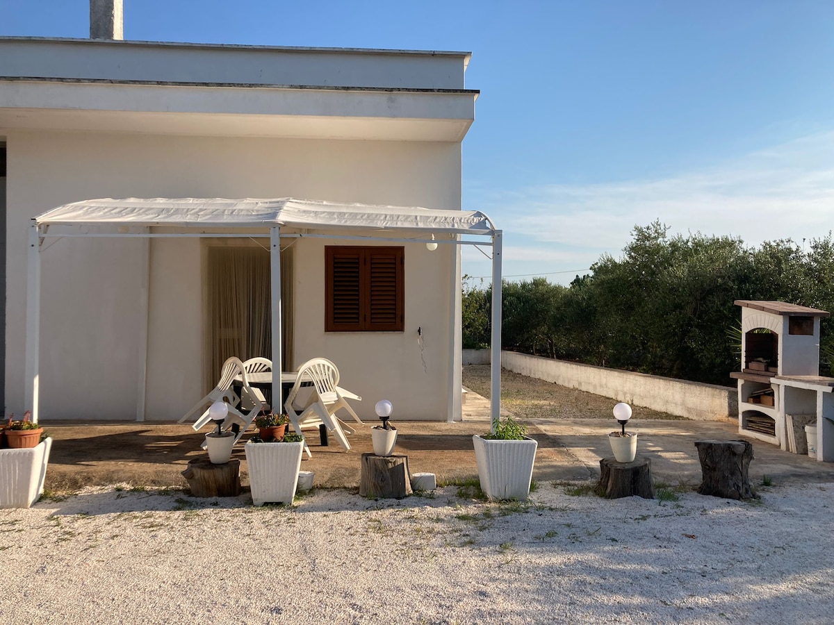 The exterior of the vacation home features a covered patio area with two plastic chairs and a small table. Potted plants are arranged on the ground, and a barbecue station is visible nearby. Olive trees can be seen in the distance, enhancing the serene outdoor environment.