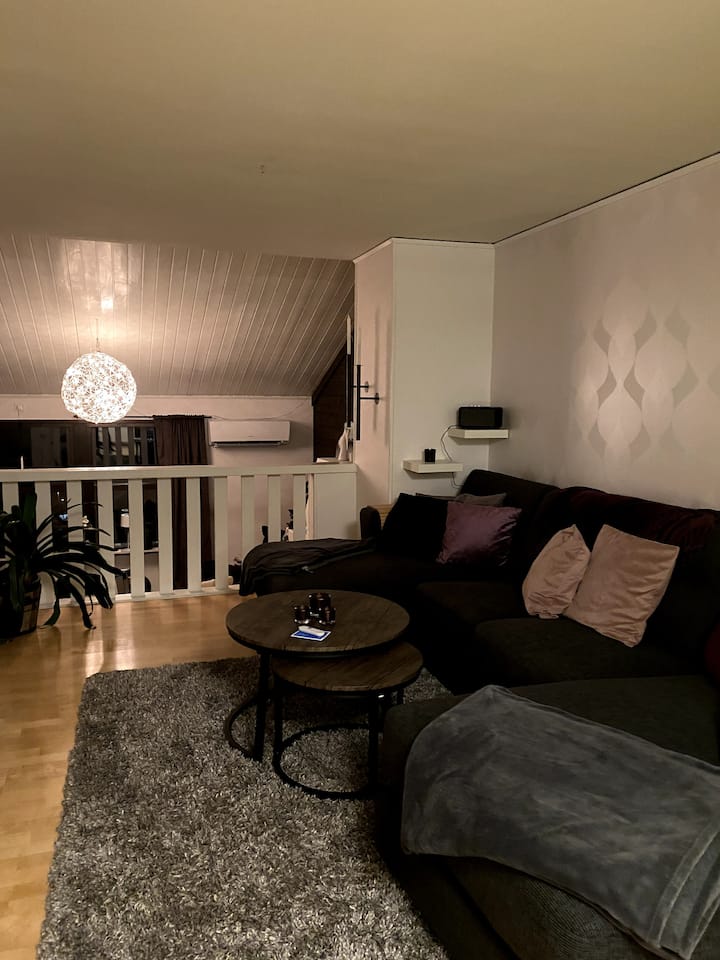Trevligt Radhus Med Fantastisk Utsikt öVer Sjön - Svezia