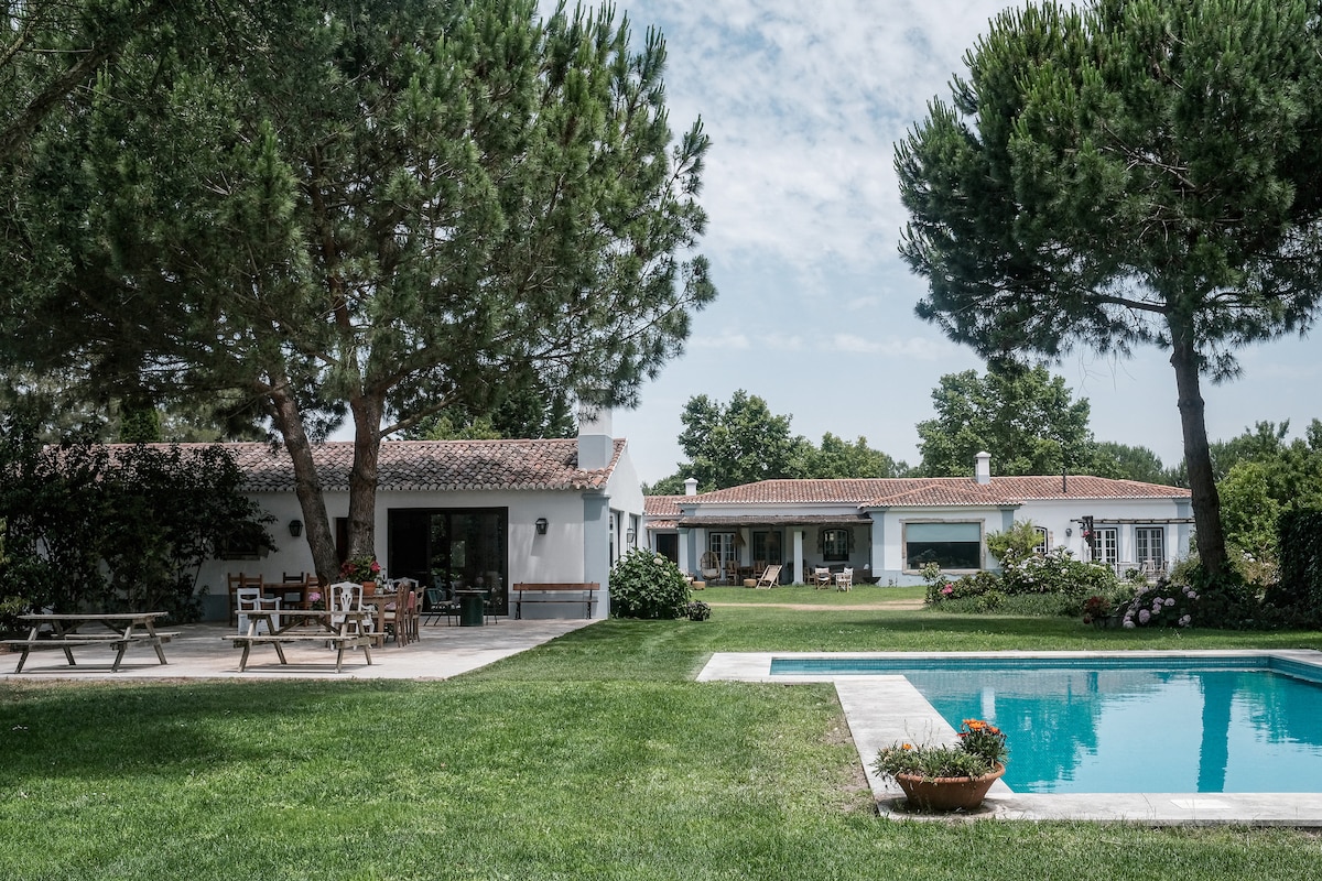 A spacious outdoor area is depicted, featuring a well-maintained lawn and a sparkling pool. The surrounding landscape includes large trees and garden spaces with various plants. Nearby, a separate building displays an inviting patio equipped with tables and chairs, creating a relaxed atmosphere.
