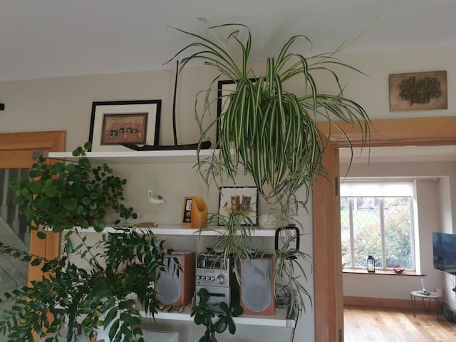 listing_image