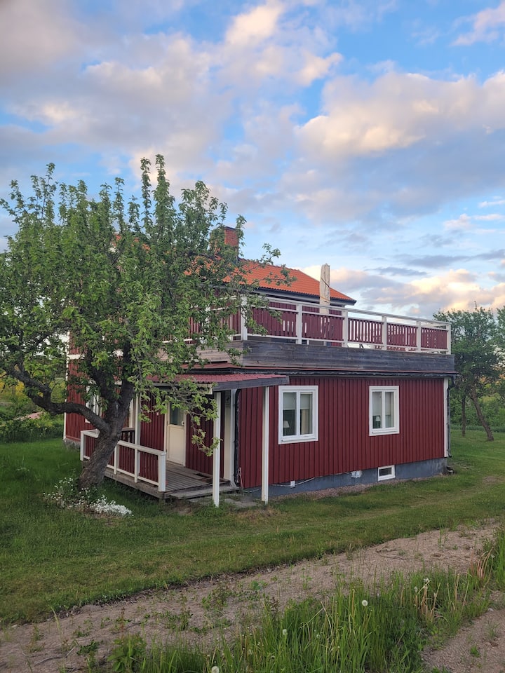Wonderful cottage in the countryside with private bathing area Cabins