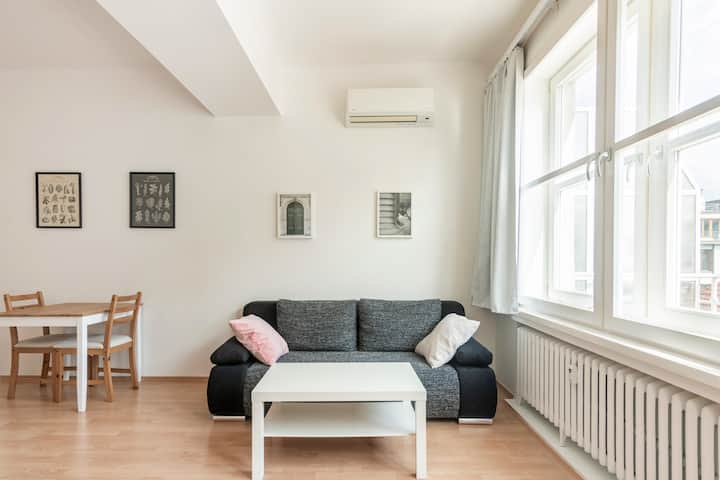 Cozy Studio With A Balcony By Wenceslas Square A52 - Prague