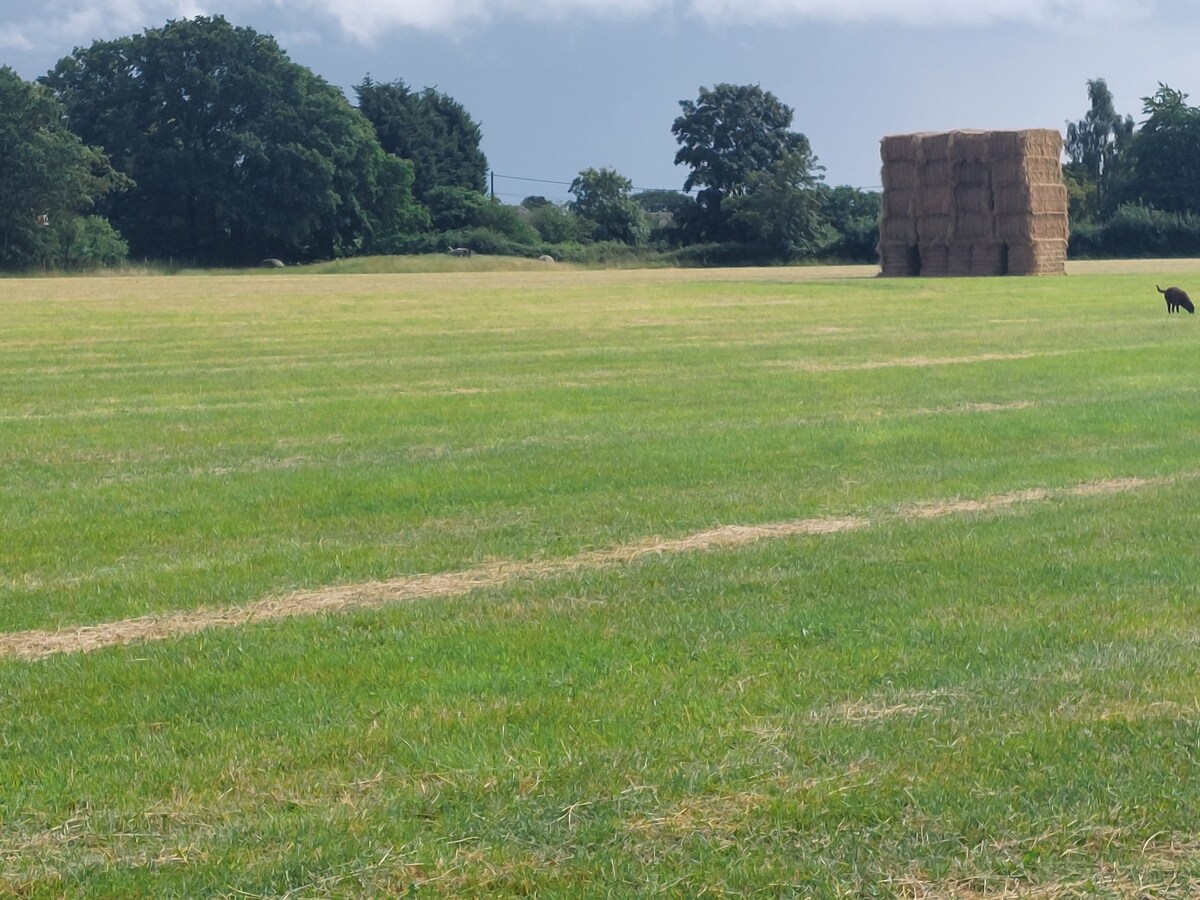 Lincoln Rural & Equine Campsite Campers/RVs for Rent in Norton Disney