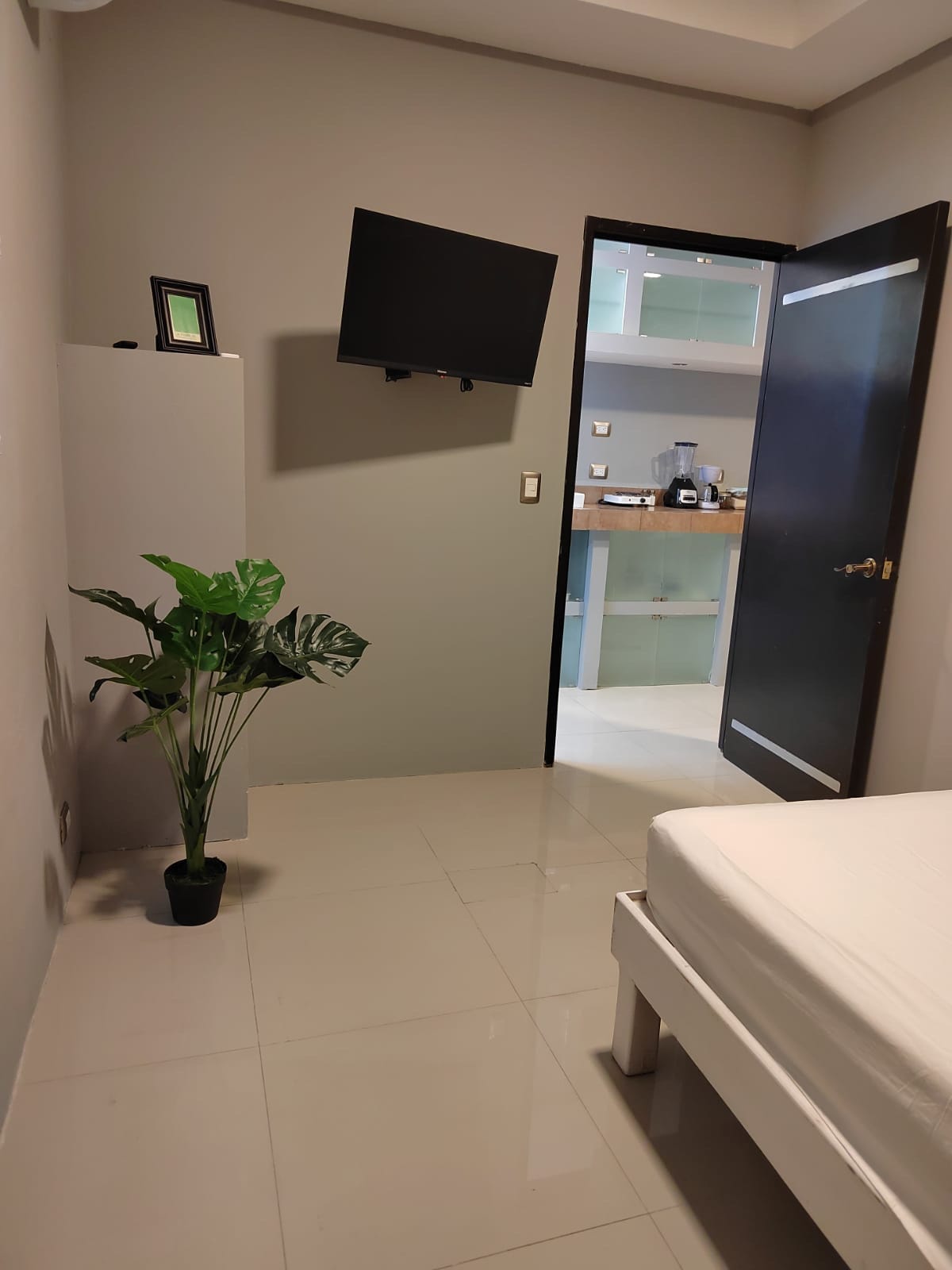 The room features a minimalist design, with a spacious bed and a mounted television on the wall. A potted plant adds a touch of greenery, while a door leads to a kitchen area with light-colored cabinetry, visible in the background.