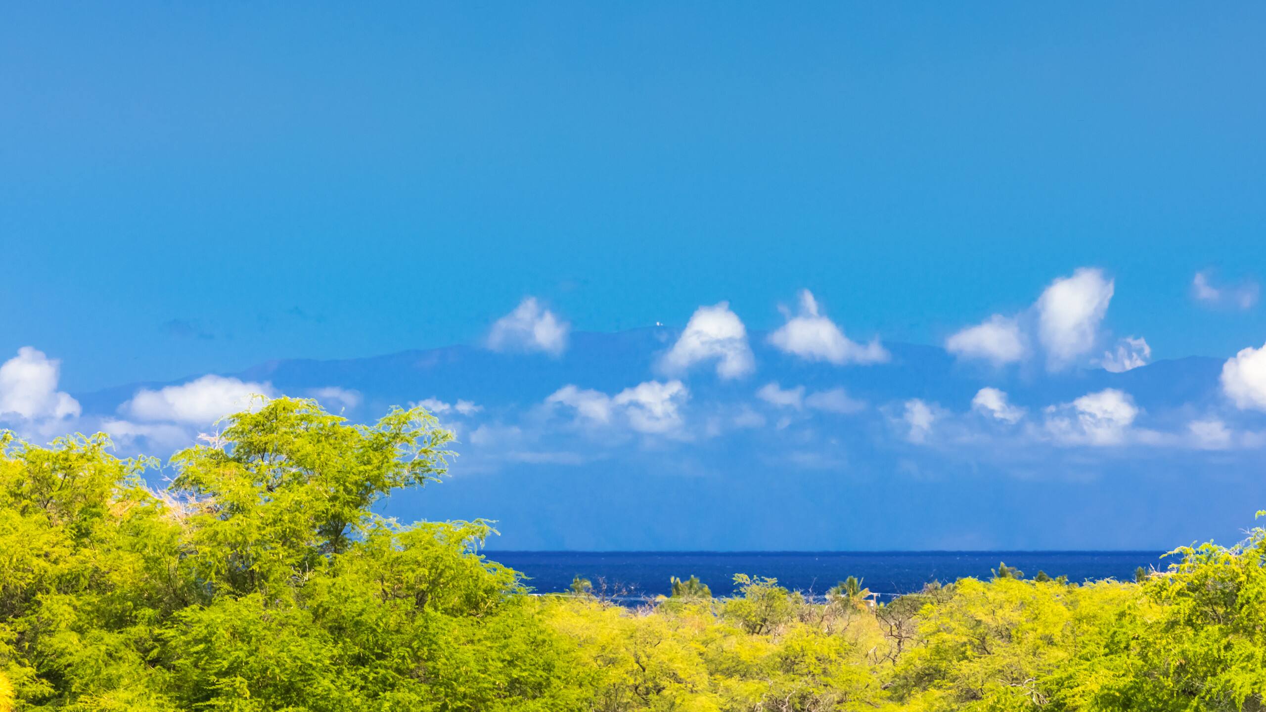 Home in Waimea · ★4.88 · 4 bedrooms · 7 beds · 3.5 baths - Image 57