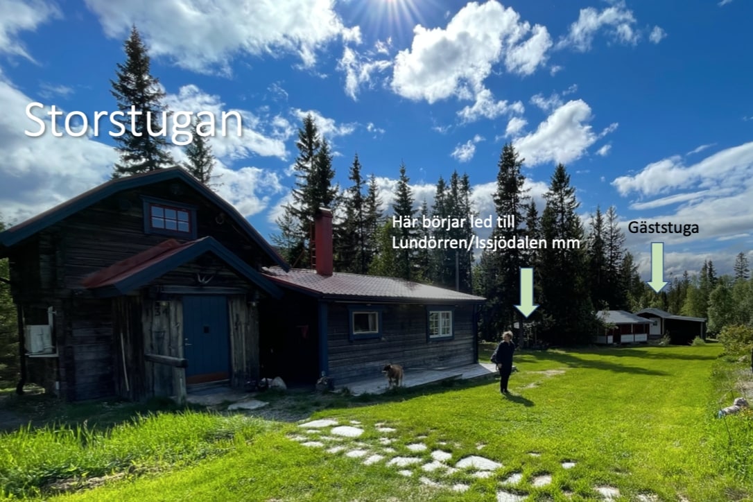 The image shows a charming cabin set amidst tall trees and greenery. A pathway leads to the guest cabin behind, while a trail for hiking starts nearby. The sky is partly cloudy, and a person is seen walking along the grassy area in front.