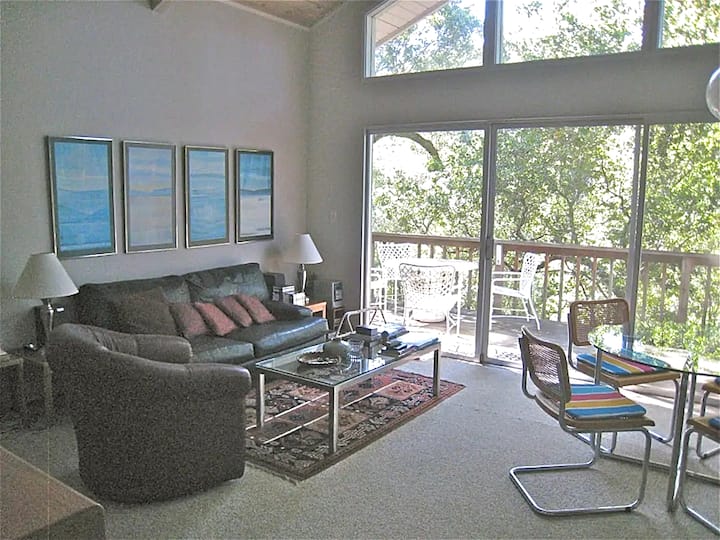 Entire sunny home in bucolic Fairfax Houses for Rent in Fairfax