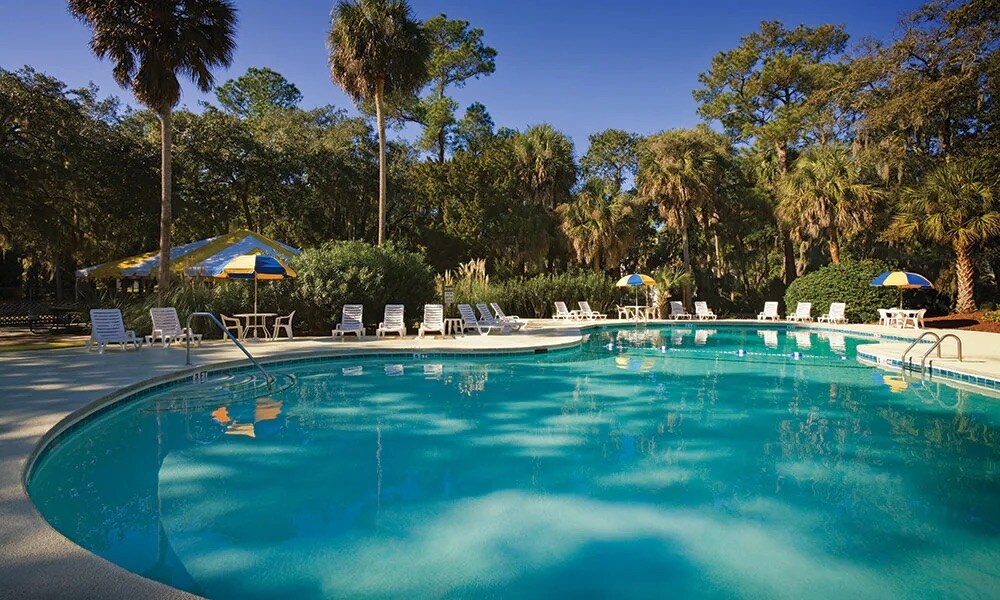 A refreshing swimming pool is framed by lush greenery and tall palm trees. Comfortable lounge chairs are arranged around the pool, while colorful umbrellas provide shade. The clear water reflects the blue sky above, creating a serene atmosphere for relaxation.