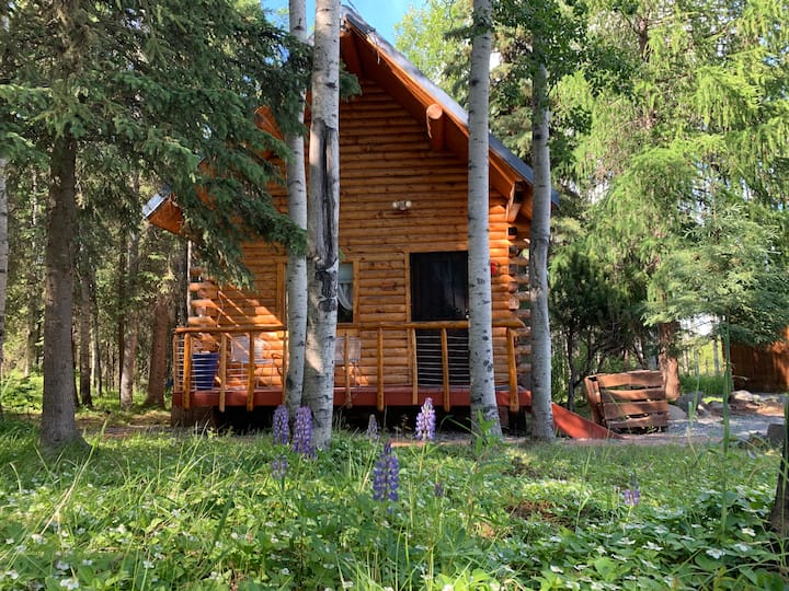 Cabin 6 on the Kenai River. Cabins for Rent in Sterling, Alaska