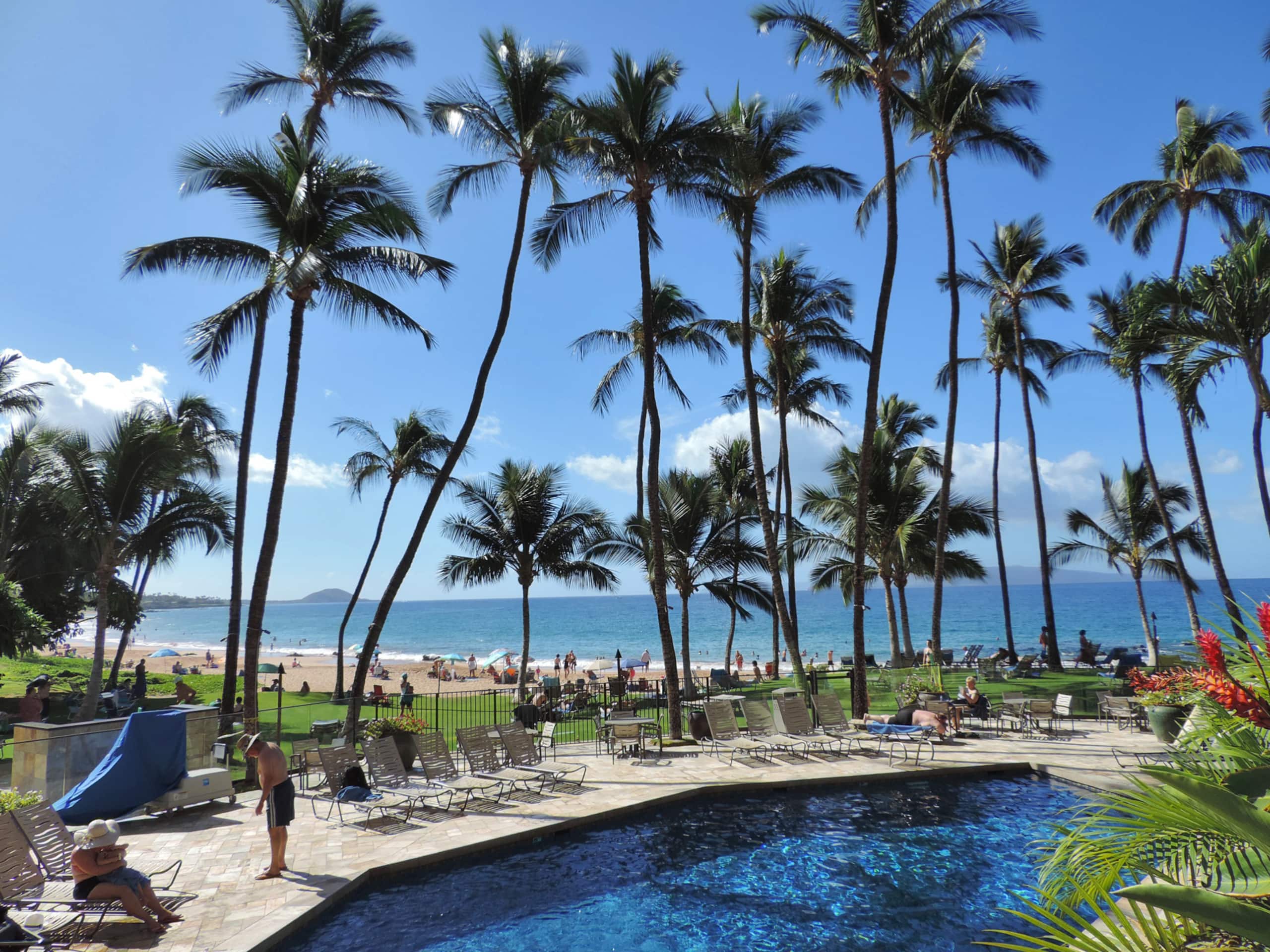Condo in Kihei · ★4.88 · 1 bedroom · 1 bed · 1 bath - Image 18