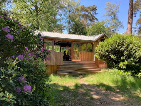 Houten bosvilla met sauna