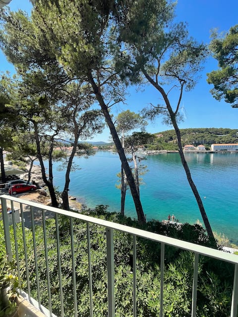 Seaside apartment with a lovely view