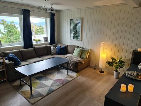 Top Airbnb: Nice apartment with amazing views in Bodø