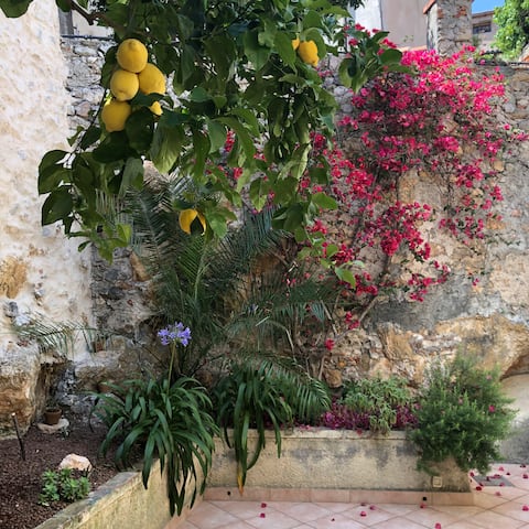 Romantic apartment
CIN it009013c2xuixdigu