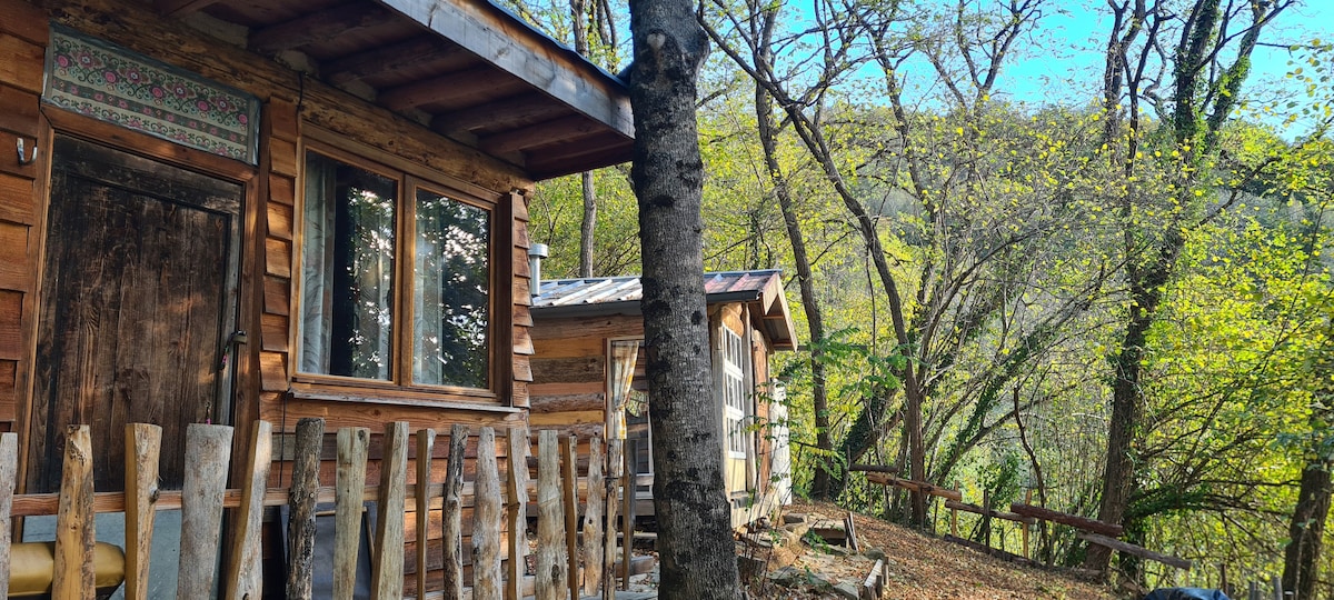 Two wooden cabins are nestled among trees, with a rustic wooden fence in the foreground. Sunlight filters through the leaves, illuminating the natural surroundings. The serene landscape provides a peaceful atmosphere, inviting connection with nature.