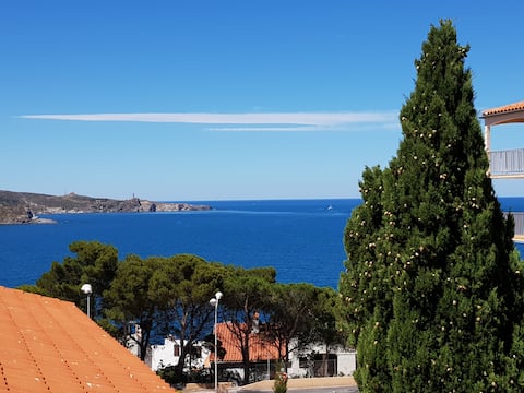 Airbnb performant: Entire place: With sea view and air conditioning à Banyuls Sur Mer