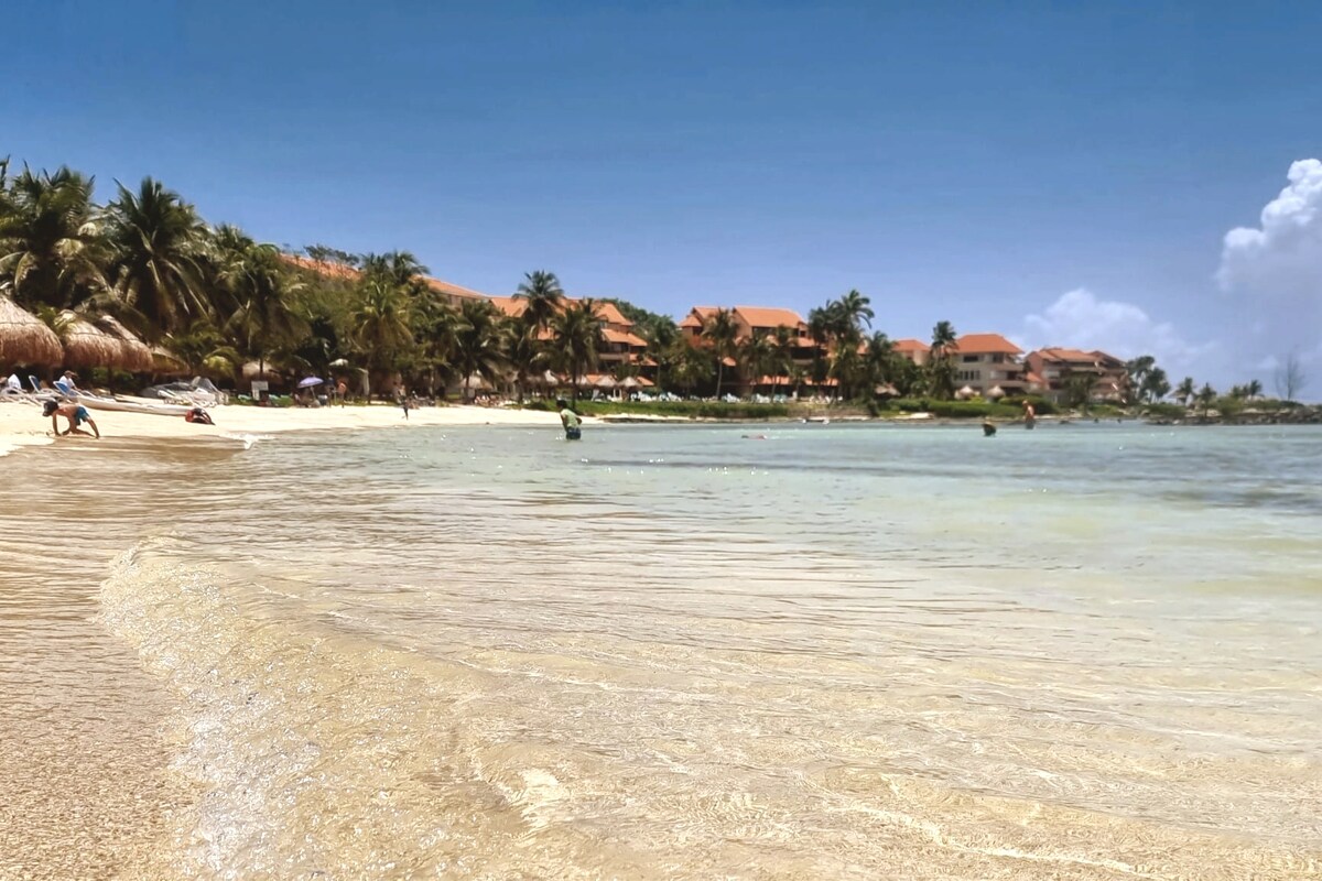 A serene beach scene is visible, showcasing gentle waves lapping at the shore. Palm trees line the sandy beach, and modern buildings are seen in the distance, partially shaded by the greenery. The clear blue water reflects the sky, creating a peaceful atmosphere.
