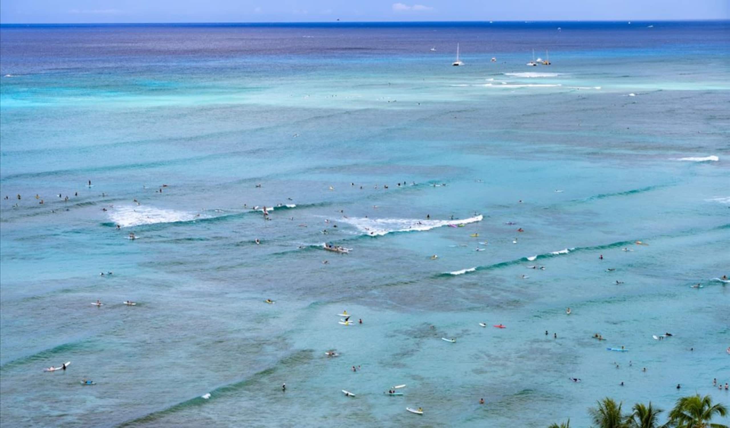 Condo in Honolulu · ★4.87 · 2 bedrooms · 3 beds · 2 private baths - Image 41
