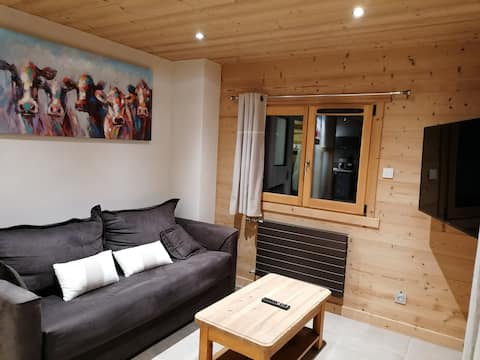 Successful Airbnb property: Beautiful Cozy apartment in a very good location for 2 to 7 people in La Clusaz
