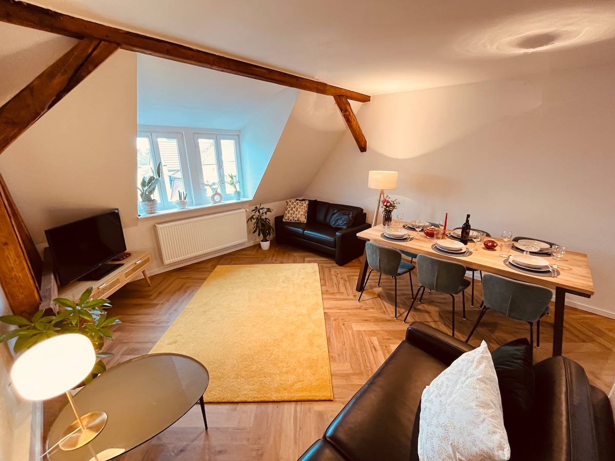 Beliebte Airbnb-Anzeige: Art Nouveau apartment in an old building directly on the Karlsaue in Kassel