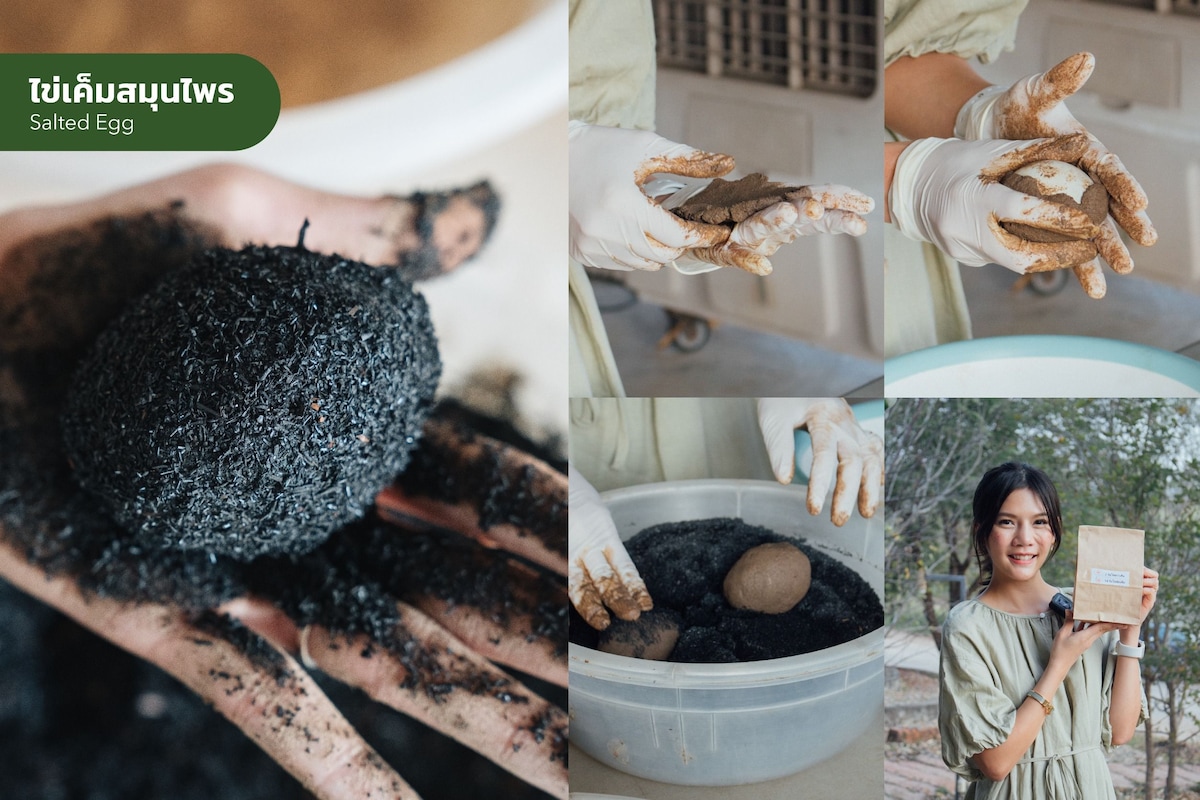 The image showcases the process of making herbal salted eggs. Hands, wearing gloves, are seen handling the dark, textured mixture made from herbal materials. A bowl contains several eggs coated in the mixture, while a person prepares to add more. The setting conveys a hands-on experience with organic practices.