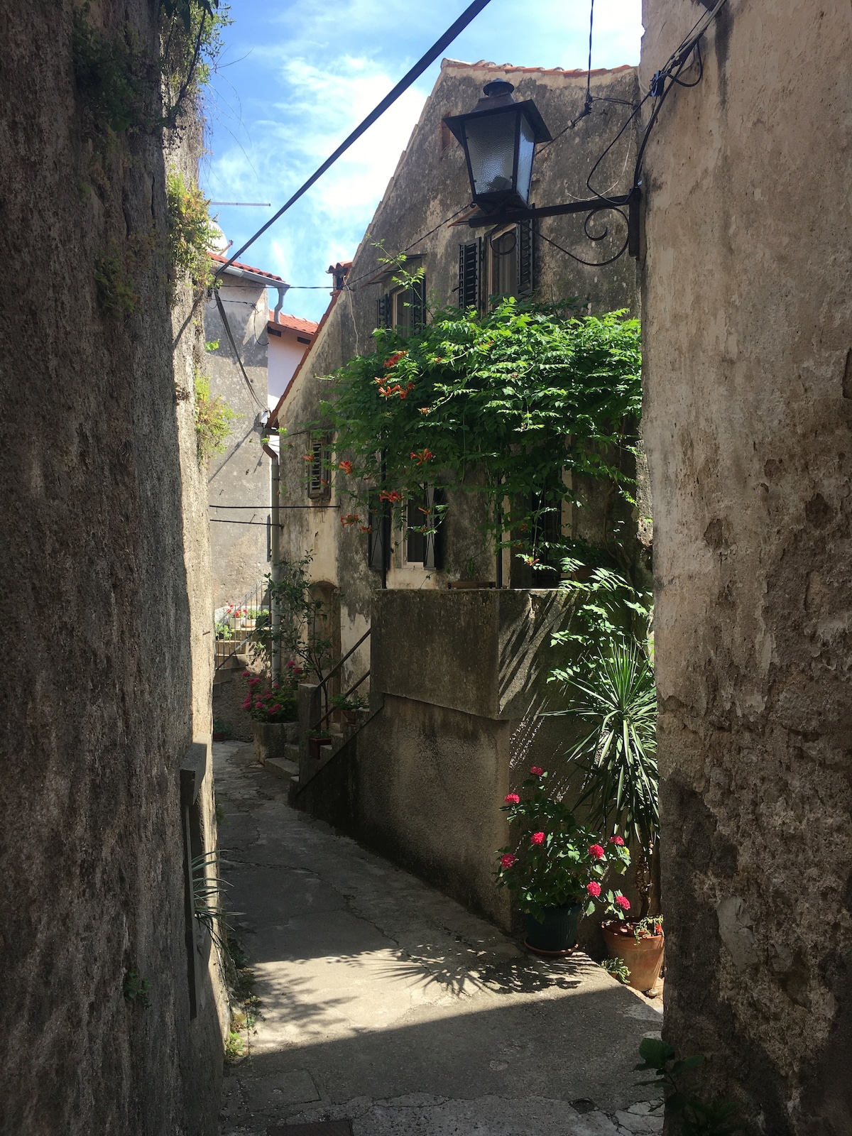 A narrow cobblestone alley is flanked by weathered stone buildings adorned with green plants and flowers. A gas lamp is mounted on one wall, casting soft light on the stone path. Bright sunlight filters through the foliage, illuminating the charming surroundings.