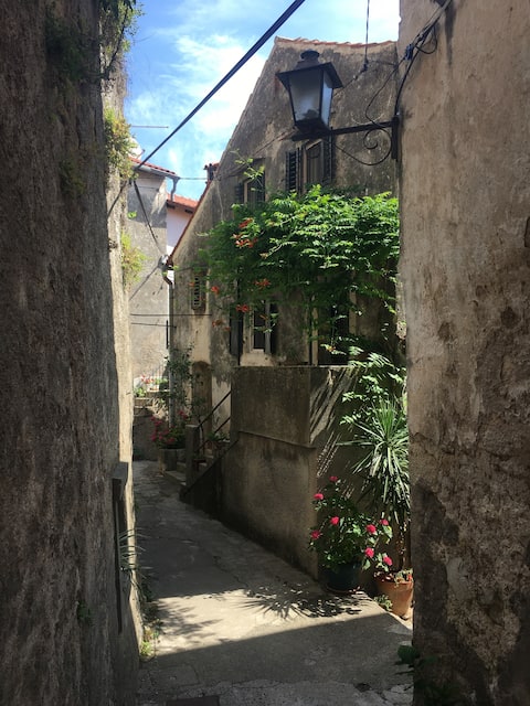 Studio apartment in old town Mošćenice