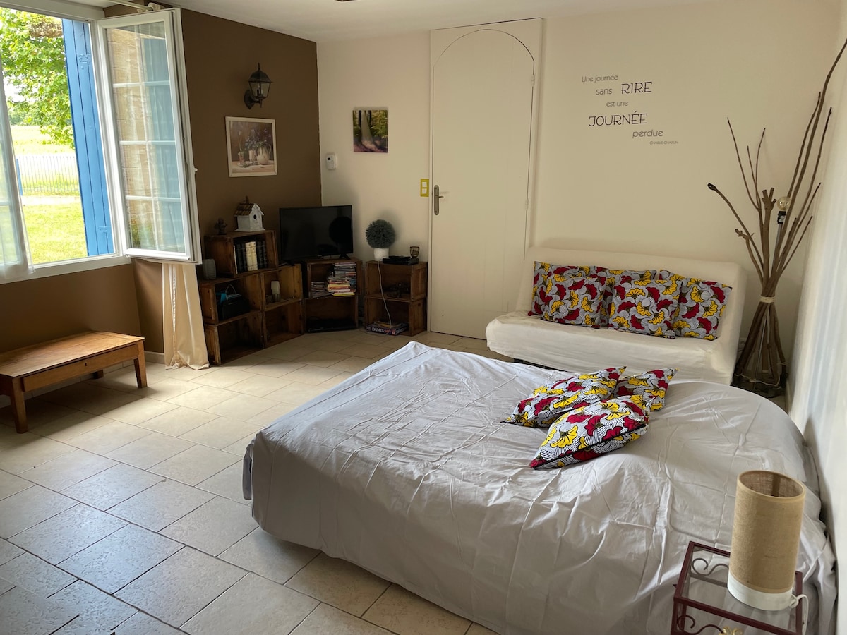 غرفة نوم/غرفة تلفزيون في الطابق الأرضي - أرائك بغرفتي نوم