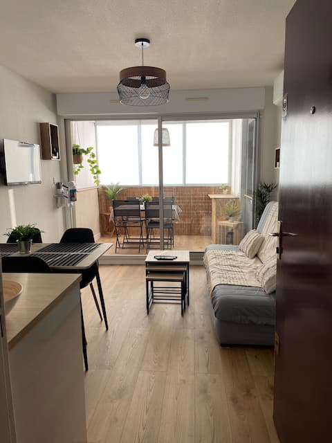 Successful Airbnb property: Air-conditioned 2-room, harbor view, 100 m from the beach in Frontignan