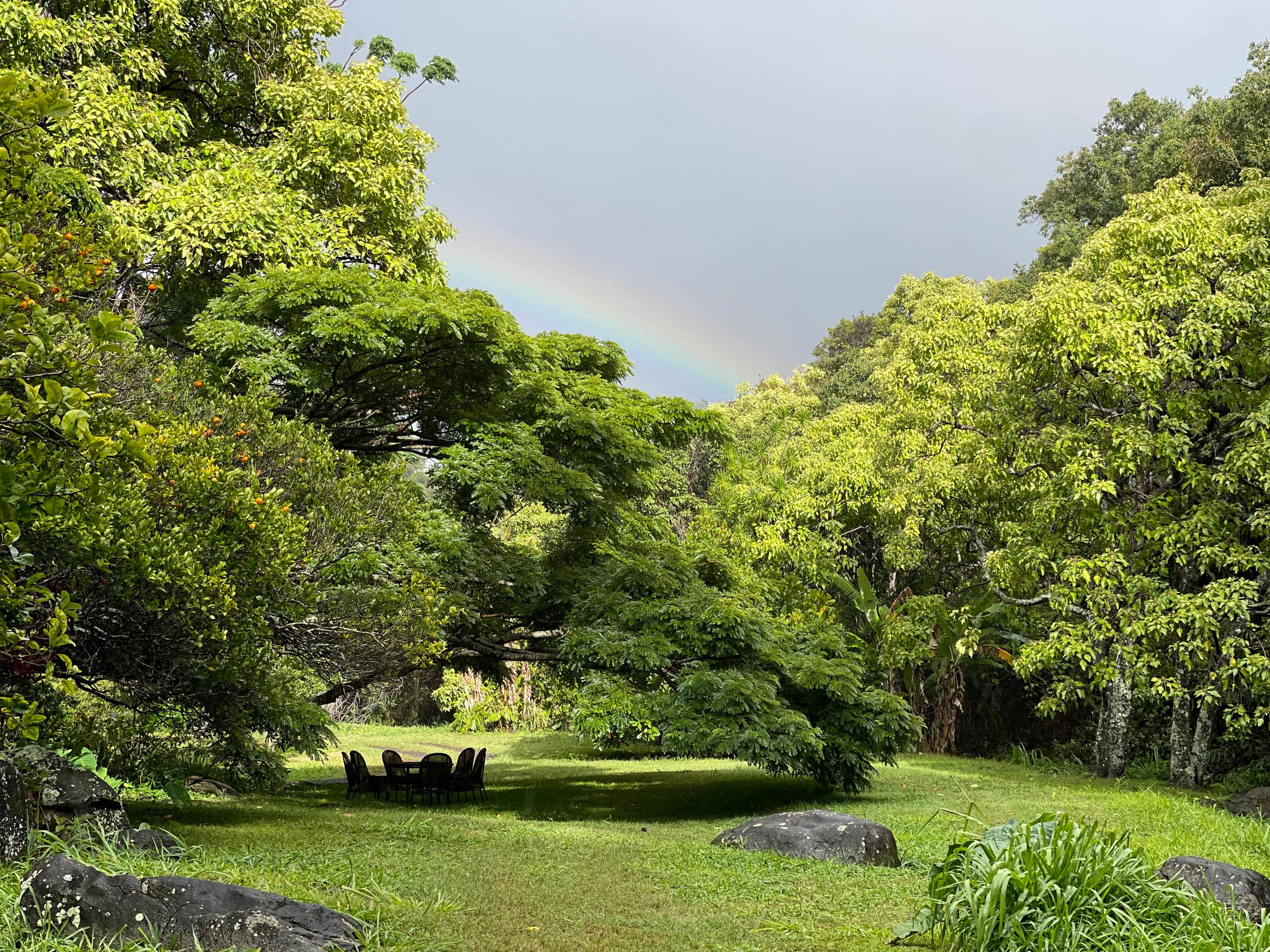 Charming Log House! Sacred Garden Farm Stay - Image 49