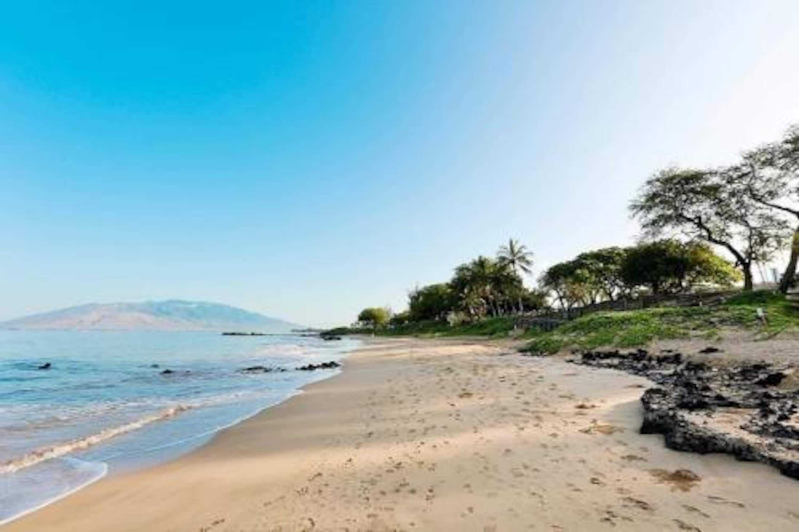 Condo in Kihei · ★4.96 · 2 bedrooms · 3 beds · 2 baths - Image 34
