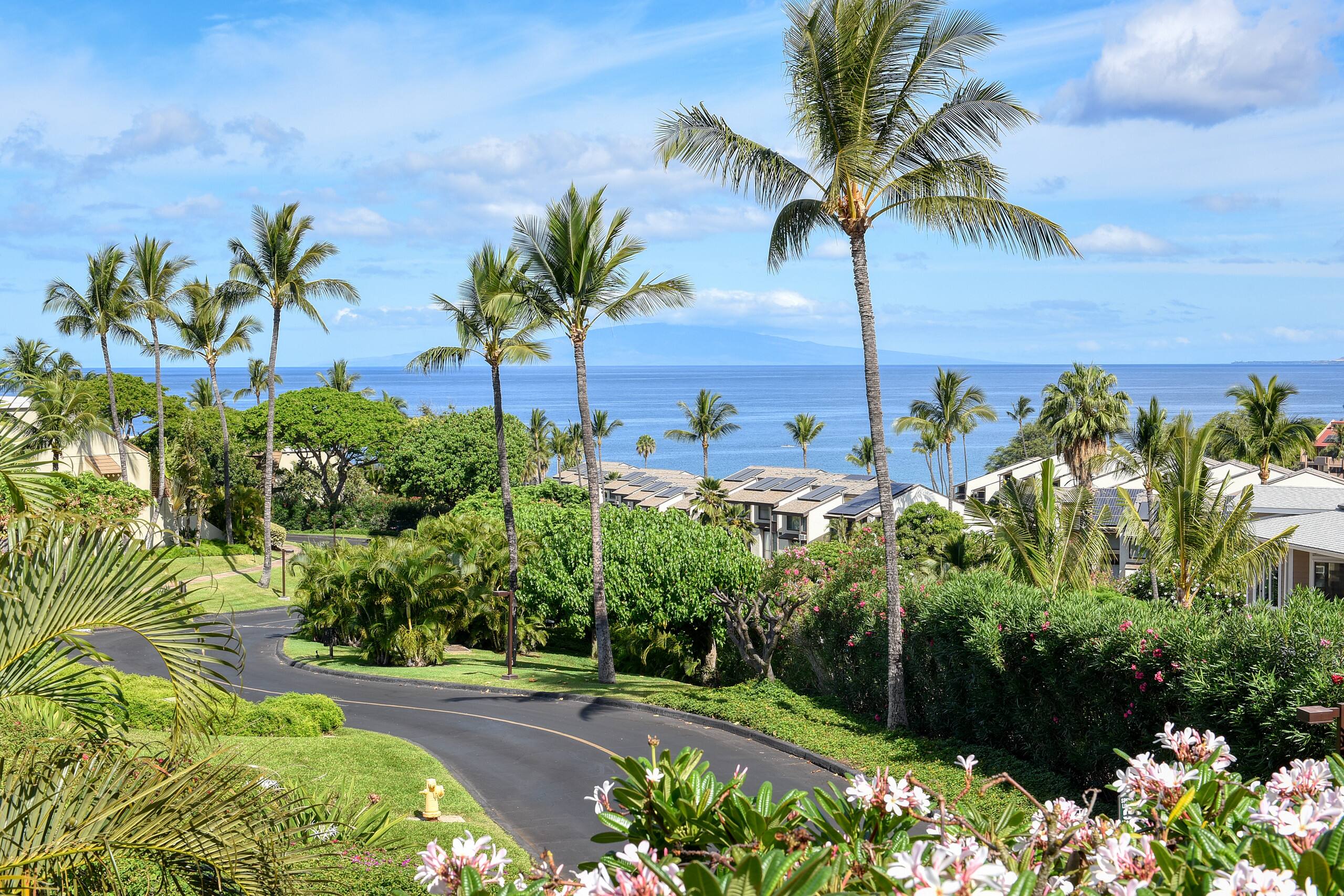 Condo in Kihei · ★4.96 · 2 bedrooms · 3 beds · 2 baths - Image 45