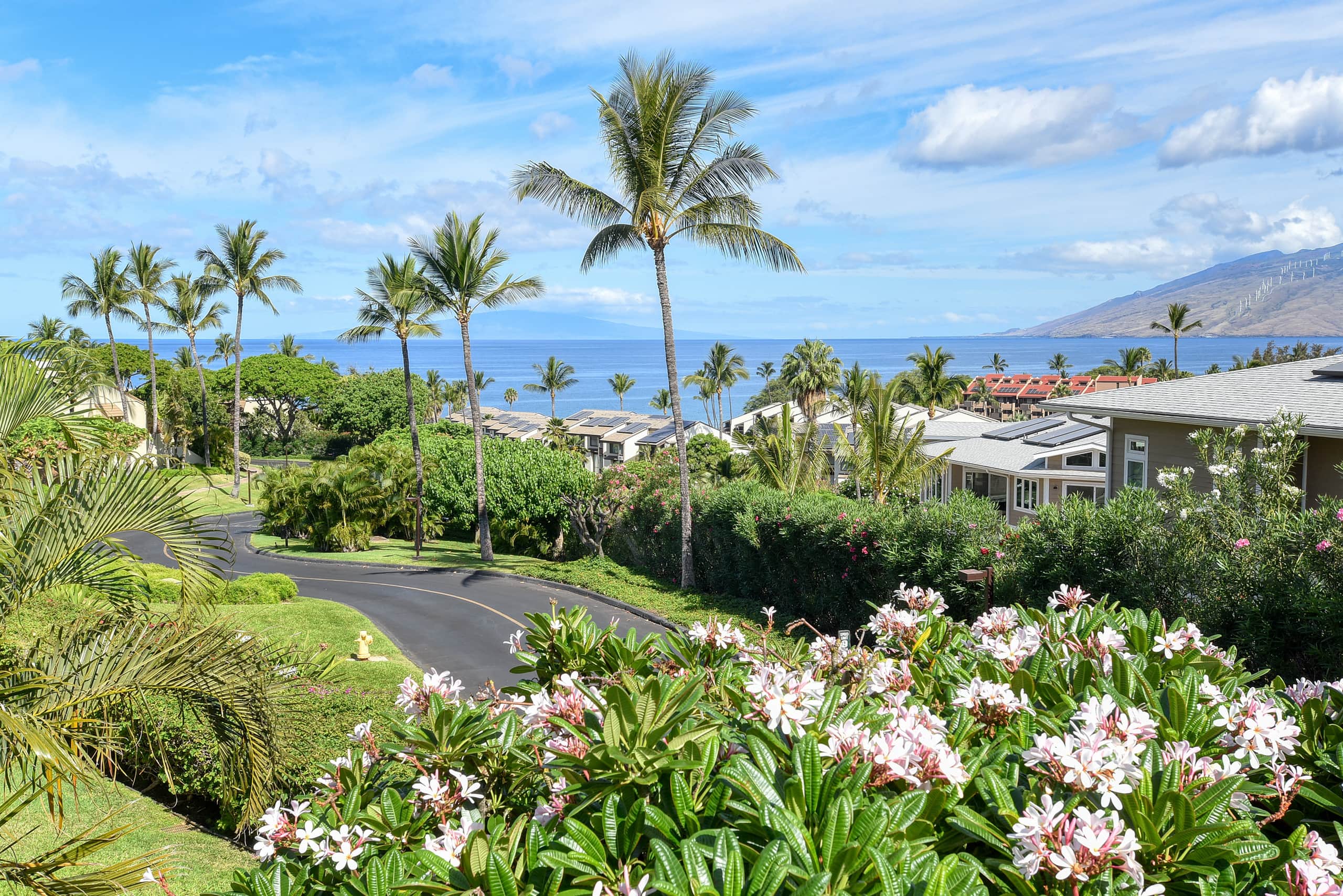 Condo in Kihei · ★4.96 · 2 bedrooms · 3 beds · 2 baths - Image 44