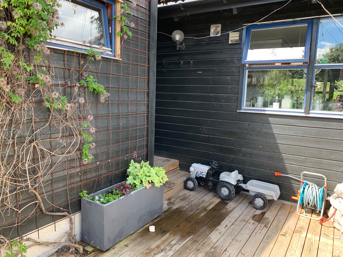 The entrance area features a wooden deck with a planter filled with greenery. A child's toy tractor is parked nearby, and the dark wooden walls provide a rustic backdrop. Two windows allow natural light to brighten the space, complemented by climbing plants.