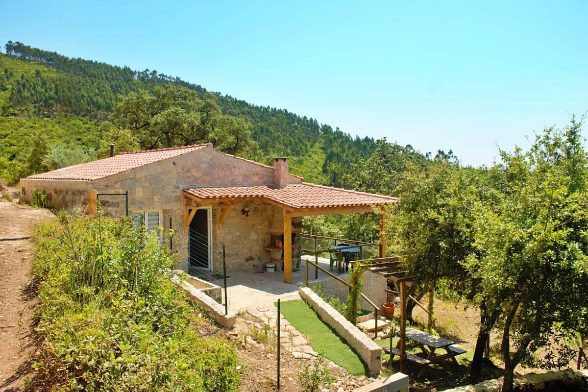 A charming stone exterior of a restored century-old house is visible, surrounded by lush greenery and a gentle hillside. A shaded terrace is seen, offering outdoor seating and views of the landscape. The entrance features stone pathways and wooden beams, enhancing the home's rustic appeal.