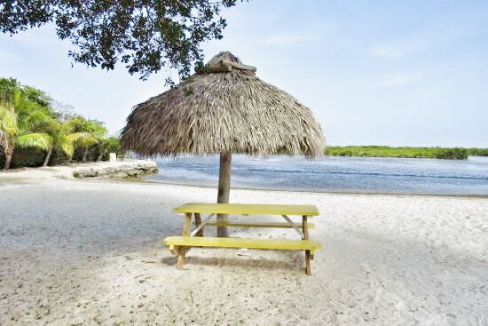 A thatched-roof gazebo provides shade over a yellow picnic table situated on a sandy beach. The calm waters and lush green palms in the background enhance the serene coastal setting.