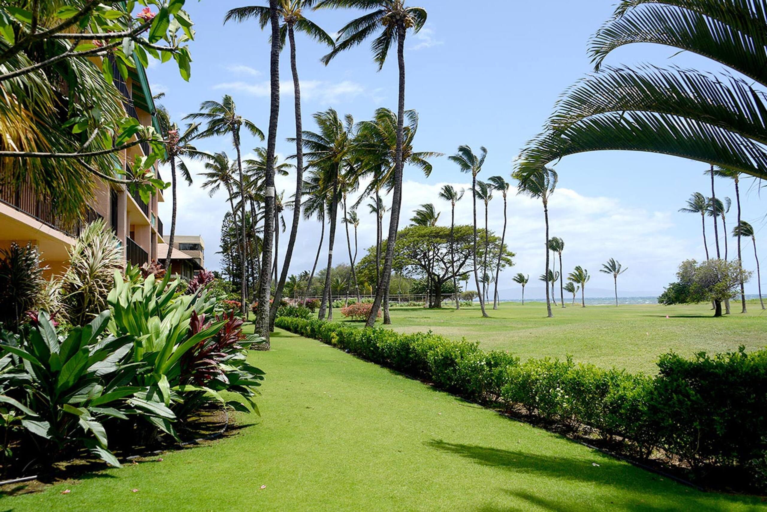 Condo in Kihei · ★5.0 · 2 bedrooms · 3 beds · 2 private baths - Image 27