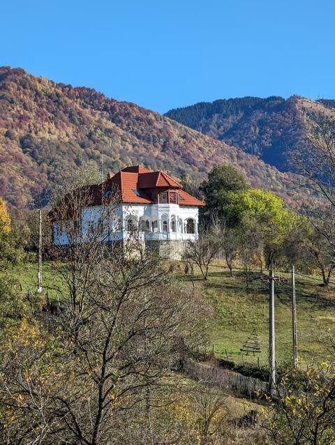 Manor in mountain village