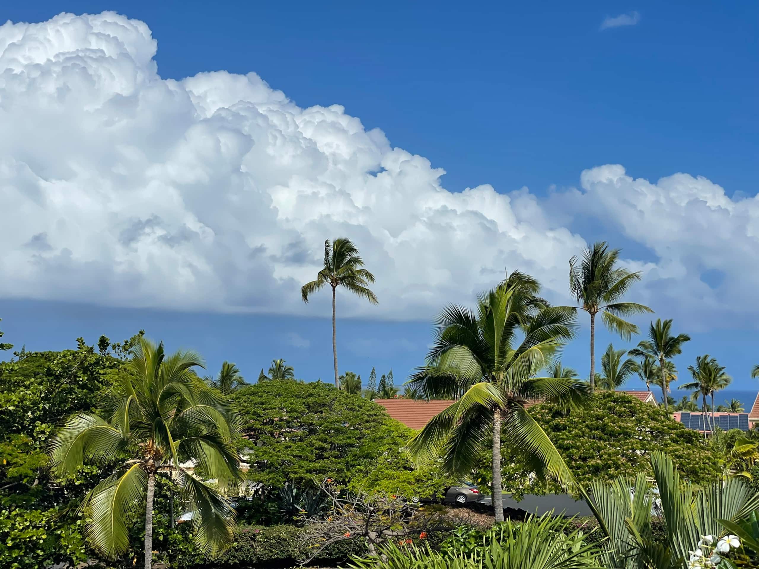 Condo in Kailua-Kona · ★4.86 · 2 bedrooms · 2 beds · 2 private baths - Image 13
