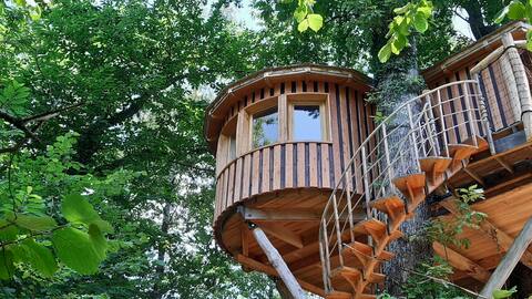 Caban'Aspe, treehouse in Aspe Valley