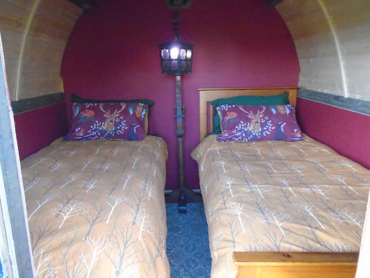 داخل ريفندل