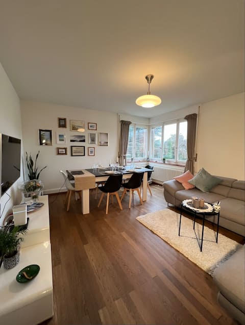 Cozy 3 bedroom apartment in beautiful Murten.