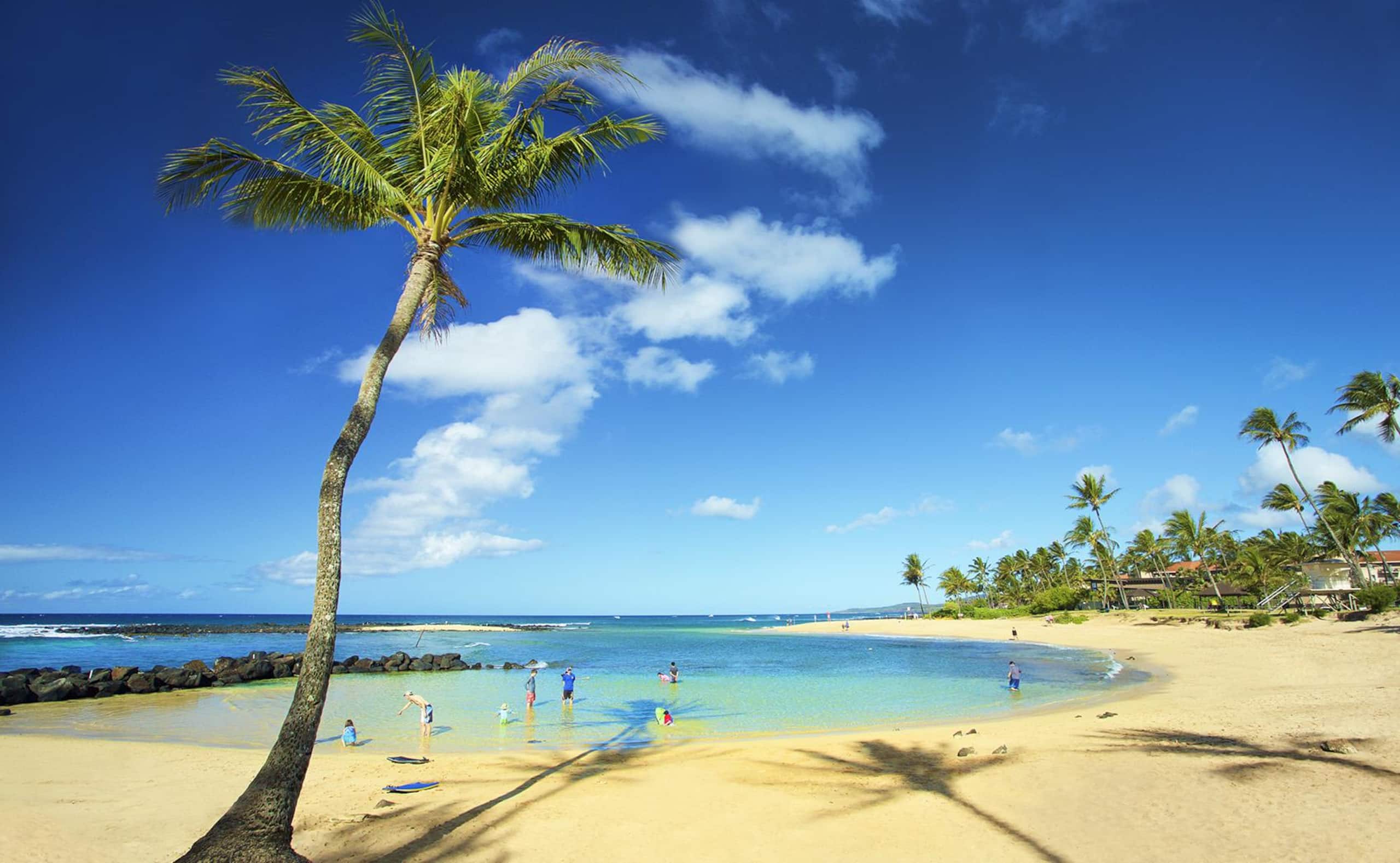 Condo in Koloa · ★5.0 · 3 bedrooms · 4 beds · 3 baths - Image 35