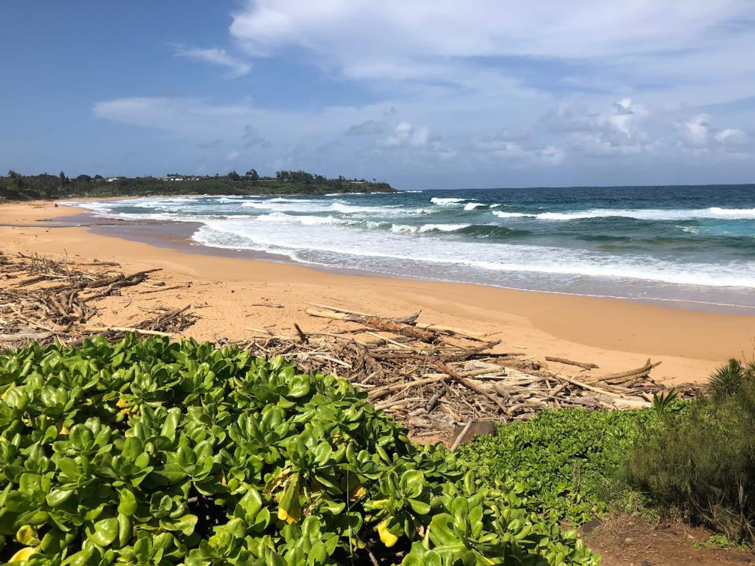 Condo in Koloa · ★5.0 · 3 bedrooms · 4 beds · 3 baths - Image 40