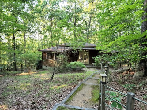 Calming Woodland Octagon