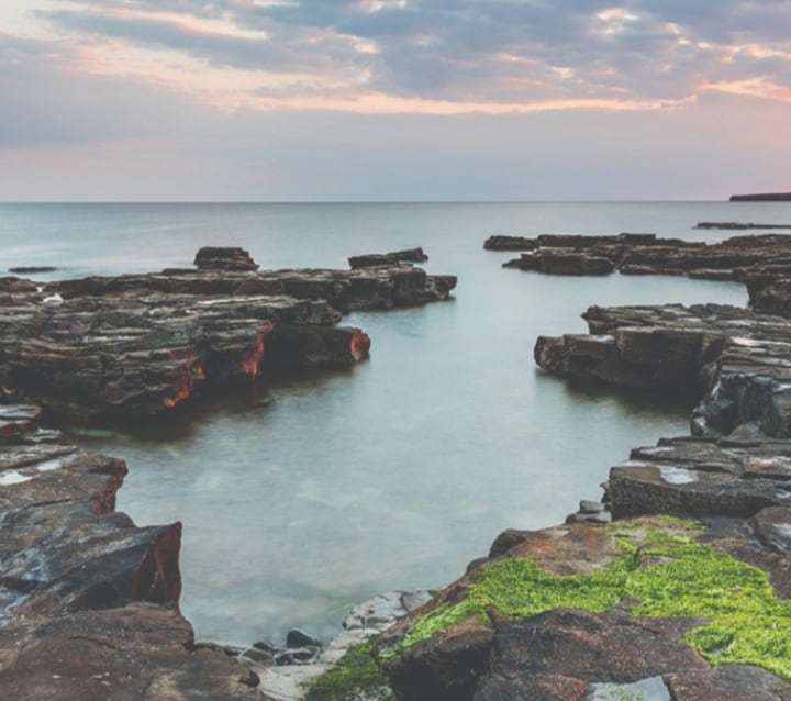 A serene coastal landscape is presented, featuring rocky formations that emerge from calm waters. Soft waves gently lap against the rocks, while a subtle green moss coats portions of the shoreline. The sky is softly lit with hues of grey and pink, suggesting twilight.