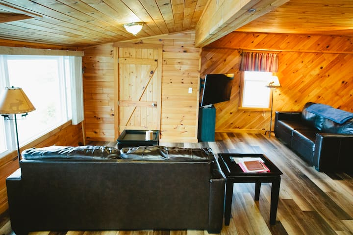 Living Room area with 50 inch TV and Direct TV and all streaming Channels.

Enjoy 2 comfortable sofa sleepers in the living room.  Great for catching the sports game, morning cartoons for the kids or an amazing view of the lake all day and evening.