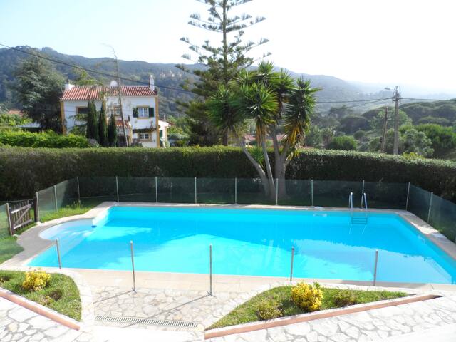 Hedone Sintra gallery image 2