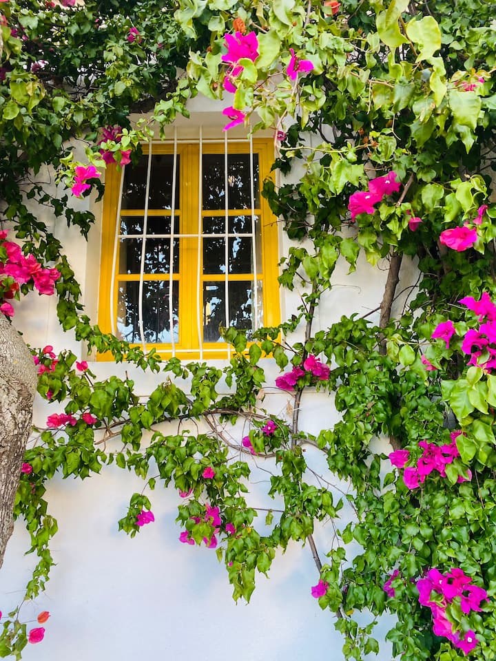 Family Friendly House W/ Pool, Close To Beaches! - Distretto di Faro
