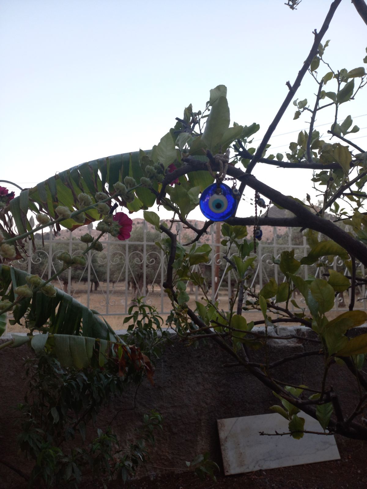 A branch of a tree displays vibrant green leaves and pink flowers, with a blue decorative charm hanging among them. The background includes a soft-focus view of a fence and an open area, hinting at a serene outdoor environment.
